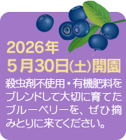 2024�N�̊J���̂��m�点�@���N��6��13���I�[�v���ł��B�݂Ȃ��܂̂����ł����҂����Ă���܂��B